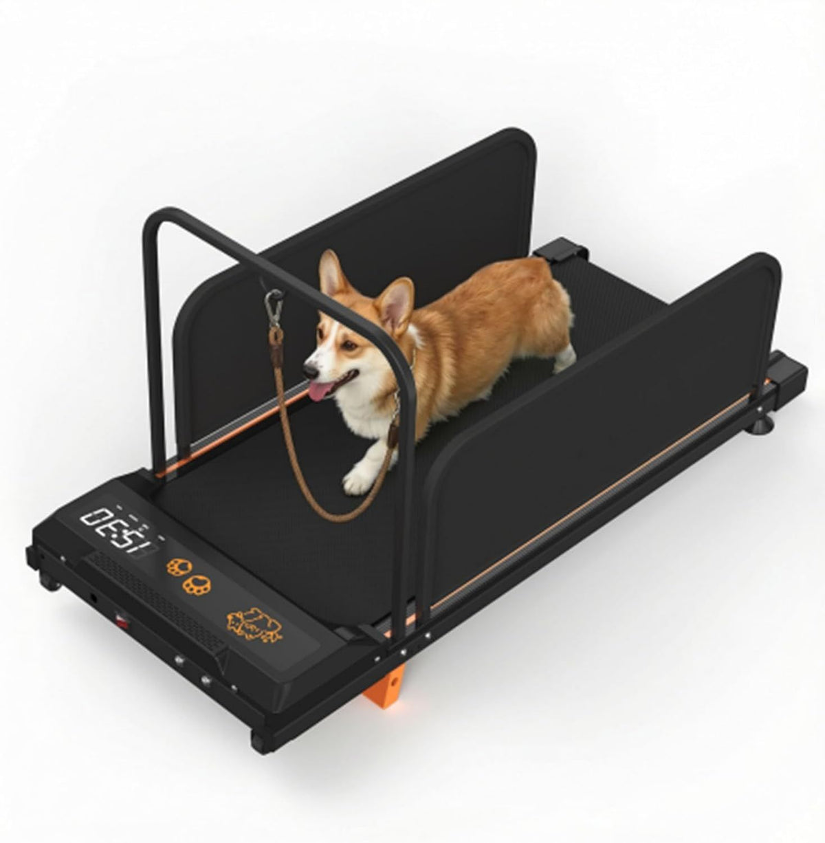 Tapis roulant per cani: funzionamento silenzioso, pieghevole, 100 x 40 cm